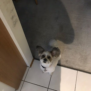 Meet your Posher, William